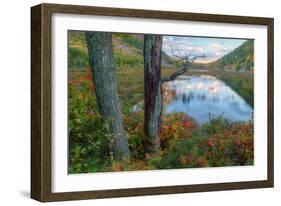 Autumn Scene at The Tarn, Acadia National Park-Vincent James-Framed Photographic Print