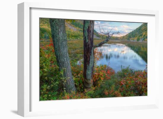 Autumn Scene at The Tarn, Acadia National Park-Vincent James-Framed Photographic Print