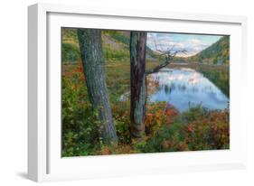 Autumn Scene at The Tarn, Acadia National Park-Vincent James-Framed Photographic Print