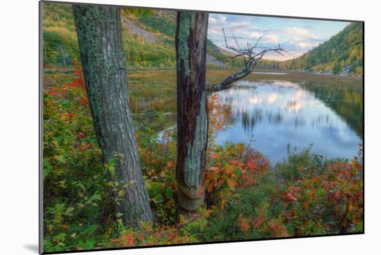 Autumn Scene at The Tarn, Acadia National Park-Vincent James-Mounted Photographic Print
