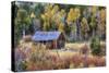 Autumn Scene in Hope Valley-Vincent James-Stretched Canvas