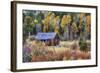 Autumn Scene in Hope Valley-Vincent James-Framed Photographic Print