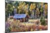 Autumn Scene in Hope Valley-Vincent James-Mounted Photographic Print