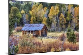 Autumn Scene in Hope Valley-Vincent James-Mounted Photographic Print