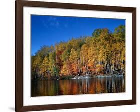 Autumn Scene in Northern Ontario, Canada-null-Framed Photographic Print