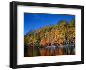 Autumn Scene in Northern Ontario, Canada-null-Framed Photographic Print