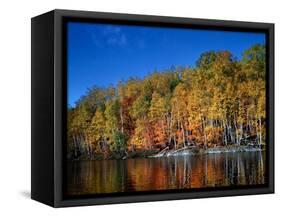 Autumn Scene in Northern Ontario, Canada-null-Framed Stretched Canvas