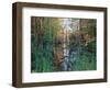 Autumn Scene in Woodland with Stream, Wisconsin, USA-Larry Michael-Framed Premium Photographic Print