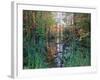 Autumn Scene in Woodland with Stream, Wisconsin, USA-Larry Michael-Framed Photographic Print