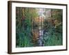 Autumn Scene in Woodland with Stream, Wisconsin, USA-Larry Michael-Framed Photographic Print