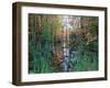 Autumn Scene in Woodland with Stream, Wisconsin, USA-Larry Michael-Framed Photographic Print