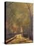 Autumn Scene, Leeds, 1874-John Atkinson Grimshaw-Stretched Canvas