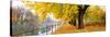 Autumn Scene Munich Germany-null-Stretched Canvas