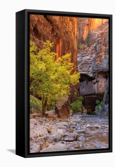 Autumn Scene, Virgin Narrows, Southern Utah-Vincent James-Framed Stretched Canvas