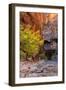 Autumn Scene, Virgin Narrows, Southern Utah-Vincent James-Framed Photographic Print