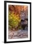 Autumn Scene, Virgin Narrows, Southern Utah-Vincent James-Framed Photographic Print