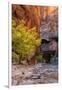 Autumn Scene, Virgin Narrows, Southern Utah-Vincent James-Framed Photographic Print