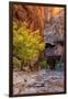 Autumn Scene, Virgin Narrows, Southern Utah-Vincent James-Framed Photographic Print