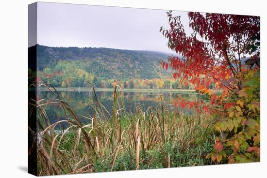 Autumn Scenic, Acadia National Park, Maine-George Oze-Stretched Canvas