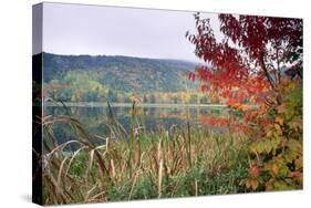 Autumn Scenic, Acadia National Park, Maine-George Oze-Stretched Canvas