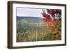 Autumn Scenic, Acadia National Park, Maine-George Oze-Framed Photographic Print