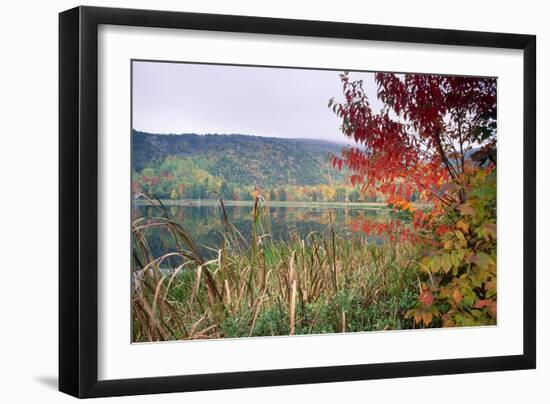 Autumn Scenic, Acadia National Park, Maine-George Oze-Framed Photographic Print