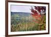 Autumn Scenic, Acadia National Park, Maine-George Oze-Framed Photographic Print