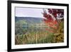 Autumn Scenic, Acadia National Park, Maine-George Oze-Framed Photographic Print