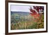 Autumn Scenic, Acadia National Park, Maine-George Oze-Framed Photographic Print