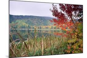 Autumn Scenic, Acadia National Park, Maine-George Oze-Mounted Photographic Print