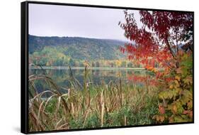 Autumn Scenic, Acadia National Park, Maine-George Oze-Framed Stretched Canvas