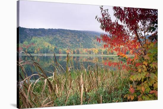 Autumn Scenic, Acadia National Park, Maine-George Oze-Stretched Canvas