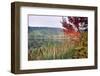 Autumn Scenic, Acadia National Park, Maine-George Oze-Framed Photographic Print