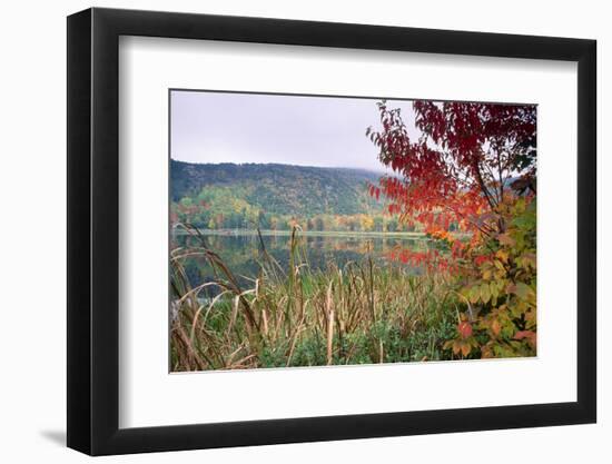 Autumn Scenic, Acadia National Park, Maine-George Oze-Framed Photographic Print