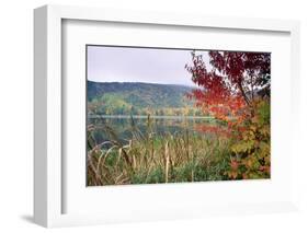 Autumn Scenic, Acadia National Park, Maine-George Oze-Framed Photographic Print