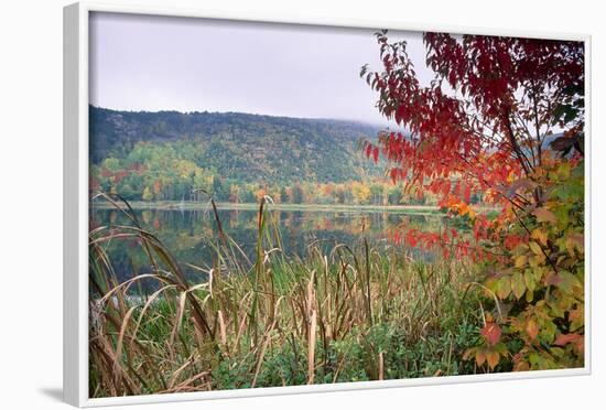 Autumn Scenic, Acadia National Park, Maine-George Oze-Framed Photographic Print