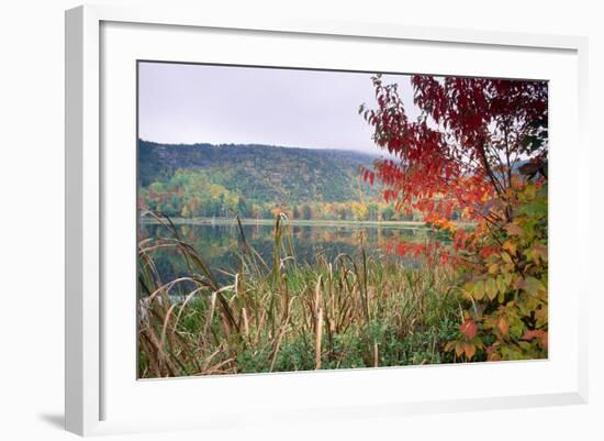 Autumn Scenic, Acadia National Park, Maine-George Oze-Framed Photographic Print