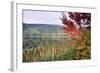 Autumn Scenic, Acadia National Park, Maine-George Oze-Framed Photographic Print