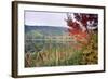 Autumn Scenic, Acadia National Park, Maine-George Oze-Framed Photographic Print