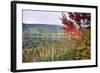 Autumn Scenic, Acadia National Park, Maine-George Oze-Framed Photographic Print