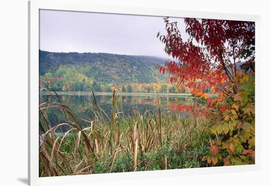 Autumn Scenic, Acadia National Park, Maine-George Oze-Framed Photographic Print