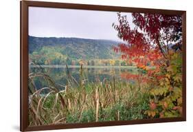 Autumn Scenic, Acadia National Park, Maine-George Oze-Framed Photographic Print