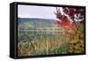 Autumn Scenic, Acadia National Park, Maine-George Oze-Framed Stretched Canvas