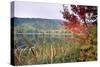 Autumn Scenic, Acadia National Park, Maine-George Oze-Stretched Canvas