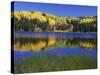 Autumn Scenic at Lost Lake, Gunnison National Forest Colorado, USA-Jaynes Gallery-Stretched Canvas