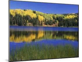 Autumn Scenic at Lost Lake, Gunnison National Forest Colorado, USA-Jaynes Gallery-Mounted Premium Photographic Print