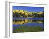 Autumn Scenic at Lost Lake, Gunnison National Forest Colorado, USA-Jaynes Gallery-Framed Photographic Print