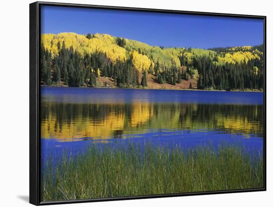 Autumn Scenic at Lost Lake, Gunnison National Forest Colorado, USA-Jaynes Gallery-Framed Photographic Print