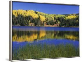 Autumn Scenic at Lost Lake, Gunnison National Forest Colorado, USA-Jaynes Gallery-Framed Photographic Print