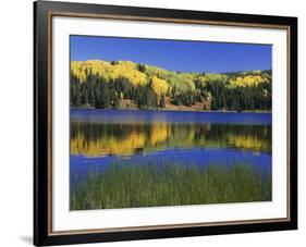 Autumn Scenic at Lost Lake, Gunnison National Forest Colorado, USA-Jaynes Gallery-Framed Photographic Print